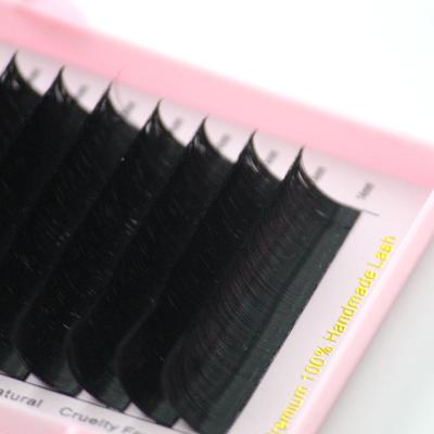 China Soft/Softer Natural/Light Weight/Durable/Curl/Fluffy Steady/Volume Fans 0.03 0.05 0.07 Lash Trays Individual Eyelash Fast Blooming Lashes Russian Easy Cashmere Eyelash Extension Volume Eyelash Extensions fan for sale