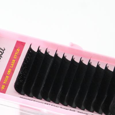 China Soft/Softer Natural/Light Weight/Durable/Stable Curl/Blooming Matte Black Fluffy/Volume Fans Lash Supplies Silk Automatic Easy Private Label Fans 0.03 Volume Eyelash Extension Easy Fanning Professionals for sale