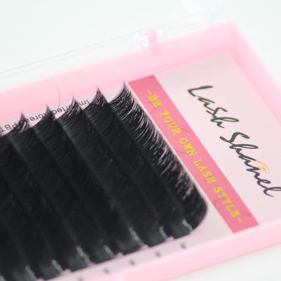 China Soft/Softer Natural/Light Weight/Durable/Stable Curl/Fluffy Cashmere Lash Fans Fluffy/Volume Extensions 0.03 0.05 0.07 Vegan Easy Fanning Double Layers J Since C D L Flower Fan Easy Eyelash Extensions loop for sale