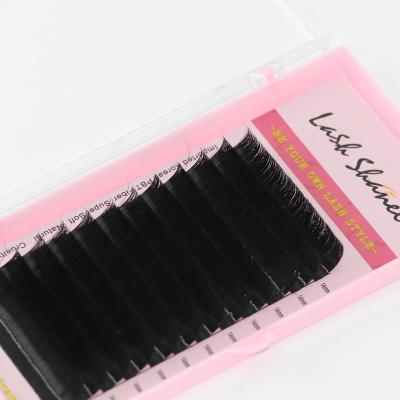 China Soft/Softer Natural/Light Weight/Durable/Curl/Fluffy Stable/Easy Fanning Eyelash Extensions Mega Volume Fans Volume 8-20mm 003 007 J Since C D Mink Flare Easy Fanning Eyelash Extensions DD L Fake for sale