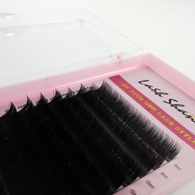 China Soft/softer natural/light weight/durable/curl/stable fluffy/volume Mink Easy Fanning Eyelashes Individual Professional Blooming Soft Natural False Lashes Fan Volume Eyelash Blooming Trays Volume for sale