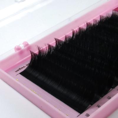 China Soft / Softer Natural / Light Weight / Durable / Curl / Stable Fluffy / Volume Fans Whip Sellers Matte Black Lash Easy Fanning Wholesale Soft Easy Bloom Korean Black Brown Volume Fan 0.03 0.05 0.07 0.10 volumes for sale