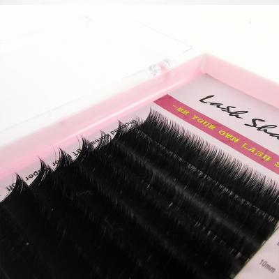 China Soft/Softer Natural/Light Weight/Durable/Curl/Fluffy Steady/Volume Lash Trays Fans Wholesale Easy Eyelash Extension C D Curl Mega Volume Custom Fast Blooming Fast Fanning Lashes Wimmpern Eyelash Fan 16 rows for sale