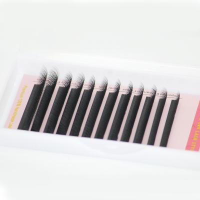 China Soft/Softer Natural/Light Weight/Durable/Stable Loop/Soft Soft/Best Seller 0.05 Volume Fans 0.07 C D CC L M 8-15mm W4D Clover Y Shape Custom 3d 4d 5d Cilios Lash Tray private label eyelash extension for sale