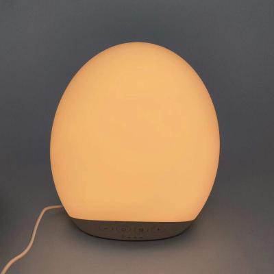 China 2021 Hot Sale 10000 ODM Factory OEM Lux Simulates Daylight Lamp Sad Therapy Lamp Sad Light Therapy Lamp for sale