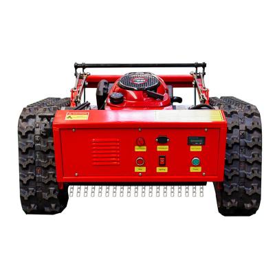 China 200m LION LM46Z-2L Lawn Mower Price Petrol Zero Turn Lawn Mowers For Garden Tools for sale