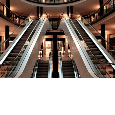 China Mall Elevator Escalator|Shopping Mall Escalator|Moving Walks 600-800-1000 Step Angle 30&35 Indoor Escalator for sale