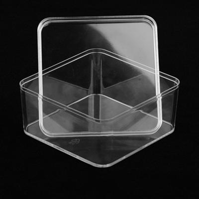 China 2021 Sales Picnic Crispy Packing Box Recyclable Small Square Box Hot Transparent Biscuit for sale