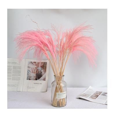 China Home Decoration Support Customized Wholesale Drying Flowers Bake In Flowers For Decoration Epoxy Flowers for sale