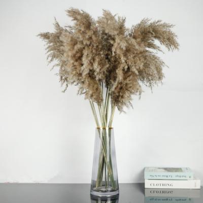 China Other 18 Pampas Grass Feather Artificial Reed Grass And Pampas for sale