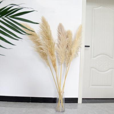 China Wedding / Home Decoration Two Tone Color Fake Pampas Grass Mini Small Pampas Grass Seed for sale