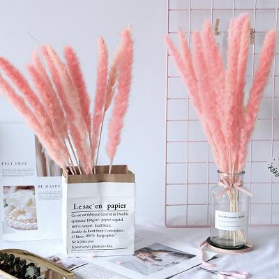 China Wedding Decor Wholesale Wedding Decorating Black White Rose Faux Natural Dry Fluffy Artificial Pampas Grass 45cm-150cm Tall Large Long for sale