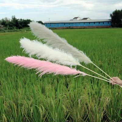 China Wedding Flower Arrangements Faux Pampas Grass 60cm Large Beige Artificial Pampas Grass Garland for sale