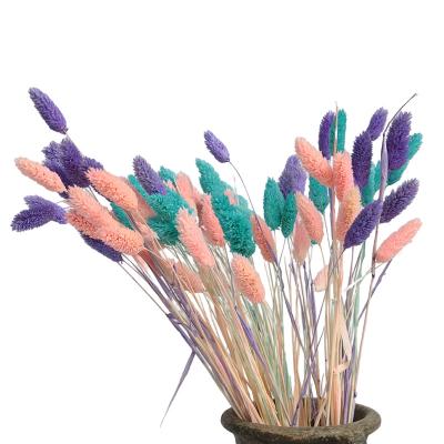 China Environmental Protection China Green Indoor Cheap Custom Bulk Mini Dry Bouquet Flowers for sale