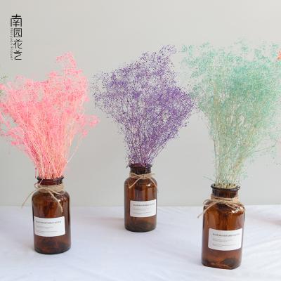 China Natural touch dry colorful baby's breath or star flower bouquet mini for wall hanging decoration for sale