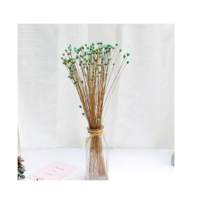 China Photographic Props Home Furnishings Wholesale Dried Flower Bouquet Decoration Happy Flower Brazil Mini Daisy Small for sale