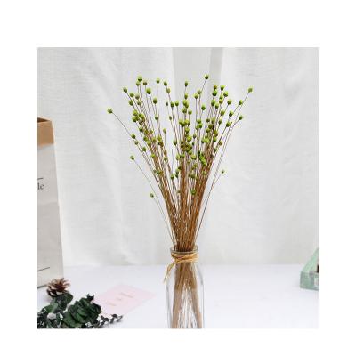 China Photographic Props Home Furniture Wholesales Hot Sale Wedding Decoration Small Dry Flower Bouquet Arrangement Brazil Daisy for sale