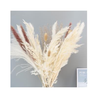 China Indoor Decoration Flower Combination Decorative Mini Dried Blue Pampas Grass for sale