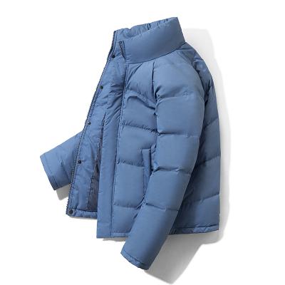 China 2019 New Viable Men's Casual Wild Winter Pure Fashion Short Down Jacket Color Collar Short Lightweight Jacket for sale