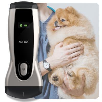 China 0.96 Inch WiFi Color Doppler Handheld Veterinary Ultrasound Scanner Portable Ultrasound Probe Machine For Pet Cat Dog 178*71*27mm for sale