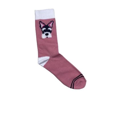 China Mid-Tube Solid Cartoon Lovely Daily Lifestyle Socks Dog Socks For Women for sale