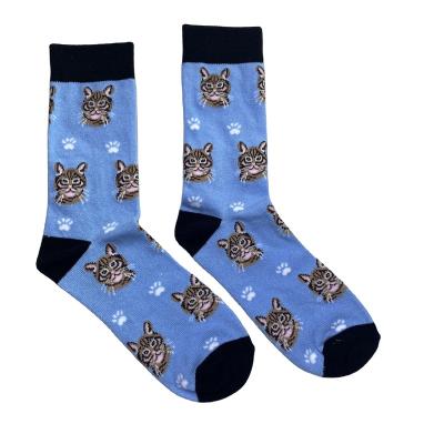 China Lovely Casual Colorful Cat Socks Leisure Cotton Socks Europe And USA Custom Socks for sale