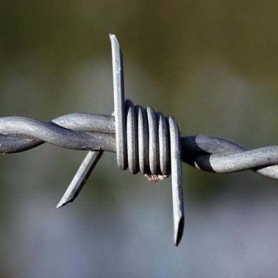 China Barbed Wire 2 Strands 4 Points Eco-friendly African Double Twist Razor Wire Fence for sale