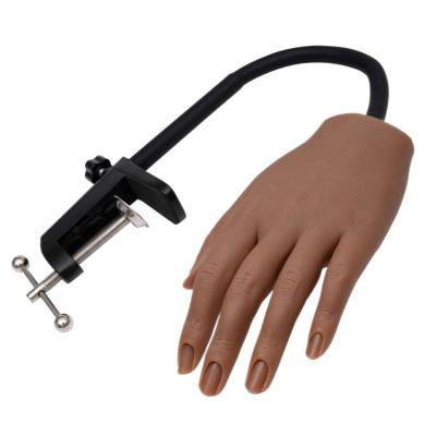 China training finger silicone practice hand with long stand for sale