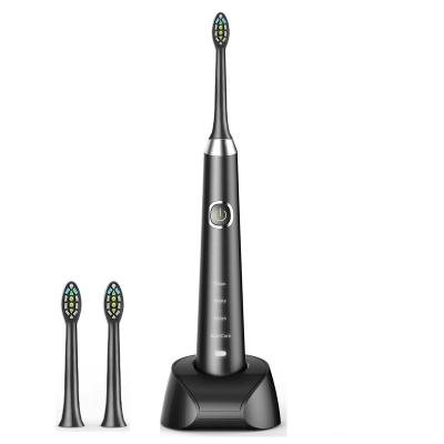 China New Design H3 Series of Rechargeable ABS Sonic Electric Toothbrush with 1 Handle and 2 Brush Heads for sale