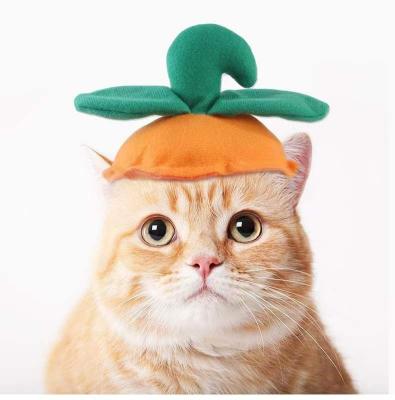 China Custom Pets Cat Dog Headdress Hair Pumpkin Shape Hat Headgear Wholesale Funny Stocked Toys and Accessories for sale