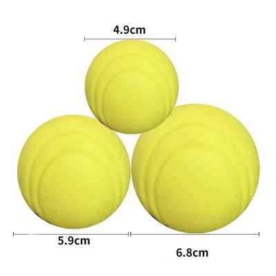 China Viable TPR Dog Toothbrush Dog Pet Bouncy Ball Squeaky Chew Ball Toy for sale