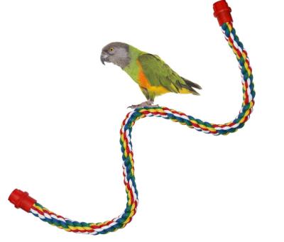 China New Viable Hot Sale Pet Bird Toys Multicolor Hanging Type Rope Cage Toys For Bird Toy Calopsita Parrot Rope Bungee Accessories for sale