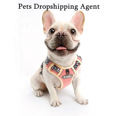 China 2000 Square Meter New Products Agent Service Toys and Accessories Wholesale Custom Logo Worldwide Logistics Bed Clothes 1688 For Pets Dropshipping for sale