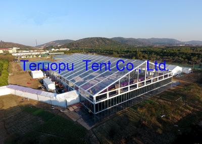 China Beautiful Glass Marquee Tent With Clear Roof 50x70m For Party Wedding Event for sale