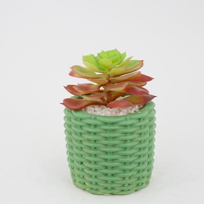 China CLASSIC Artificial Succulent Plants In Pot Modern Concrete Modern Home Decor Faux Potted Greenery for sale