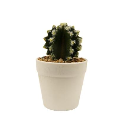 China PE Artificial Succulent Plants In Pot Modern Home Decor Faux Planter PE Greenery for sale