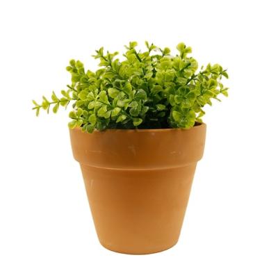 China Pe Artificial Succulent Plants In Pot Modern Concrete Modern Faux Home Decor Potted Greenery for sale