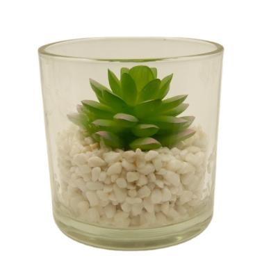 China PE Artificial Succulent Plants In Glass Cup Modern Home Decor Faux Succulent Greenery for sale