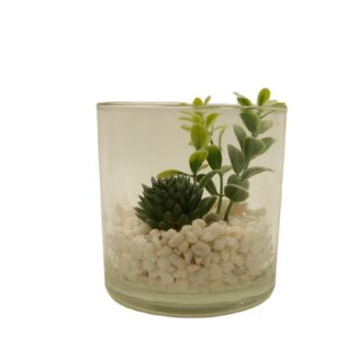 China PE Artificial Succulent Plants In Glass Cup Modern Home Decor Faux Succulent Greenery for sale