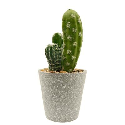 China PE Artificial Succulent Plants In Concrete Modern Home Decor Faux Metal Frame Potted Greenery for sale