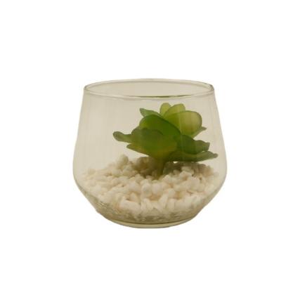 China PE Artificial Succulent Plants In Glass Cup Modern Home Decor Faux Succulent Greenery for sale