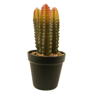 China Mini Succulent Plants Decoration Artificial Minimalist Cactus Plant Supply Succulent Plants for sale