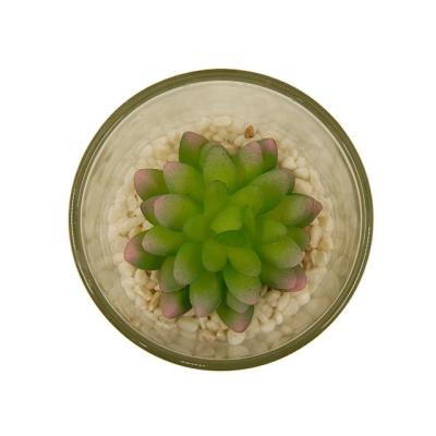 China Minimalist Fresh Decorative Artificial Healthy Succulents Glass Potted Plants for sale