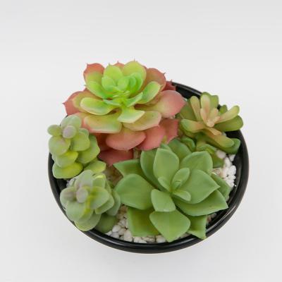 China CLASSIC Artificial Succulent Plants In Pot Modern Ceramic Home Decor Faux Potted Greenery for sale