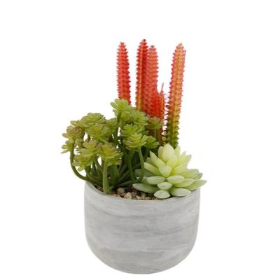 China CLASSIC Artificial Succulent Plants In Pot Modern Concrete Modern Home Decor Faux Potted Greenery for sale