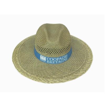 China Picture hot sale custom design foldable unisex straw hats wholesale for sale