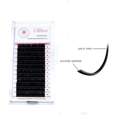 China 2019 new products natural soft tending Korean silk person whips flat 3d false mink eyelashes ellipse eyelash extensiones for sale