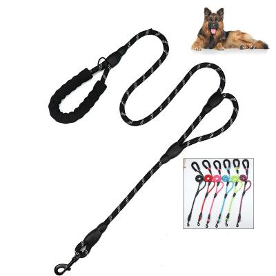 China Light Up Reflective Nylon Braided Double Handle Rope Dog Climbing Walking Leash Hot Selling Pet Training Leash for sale