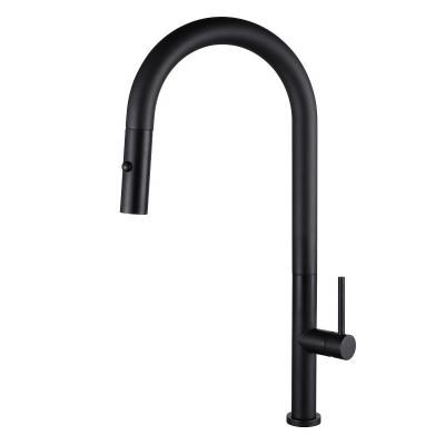 China Metered Faucets 2021 Luxury Pull Down Sink Faucets Pull Out Kitchen Faucet Matt Black With Pull Down Sprayer for sale