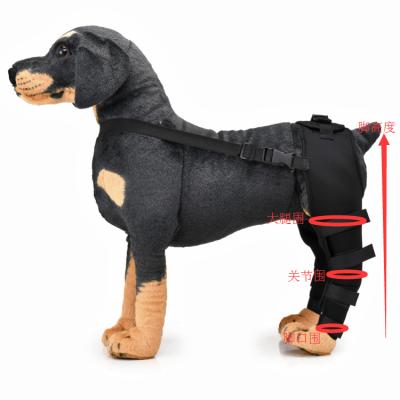 China Adjustable Elasticity Good Quality Breathable Injury Recovery Dog Support Leg Pet Protector Right Left Knee Pads for sale